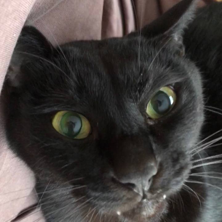 A93cc691 ca2e 4c0b b3cb a165e728879c 1701469270756