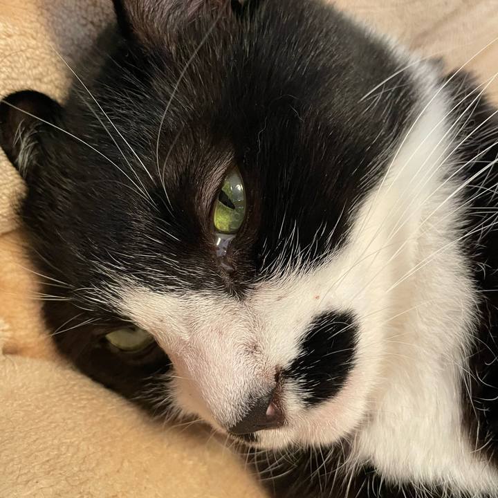 A93cf50d 4297 4eda bad8 ee4a9b20427c 1747266058808