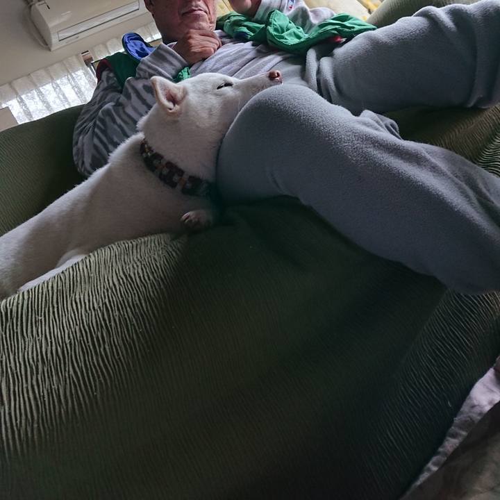 A93d125a 8a76 4144 beb2 dfa679835a59 1574572064594