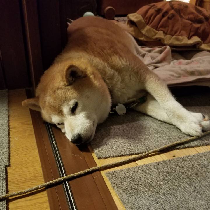 A93d1a8a 0808 43c7 956b c431c906b5bd 1694856434028