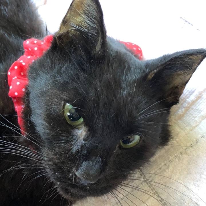 A93d2807 05e6 4ef8 8010 58bc542ad6bf 1558691617210