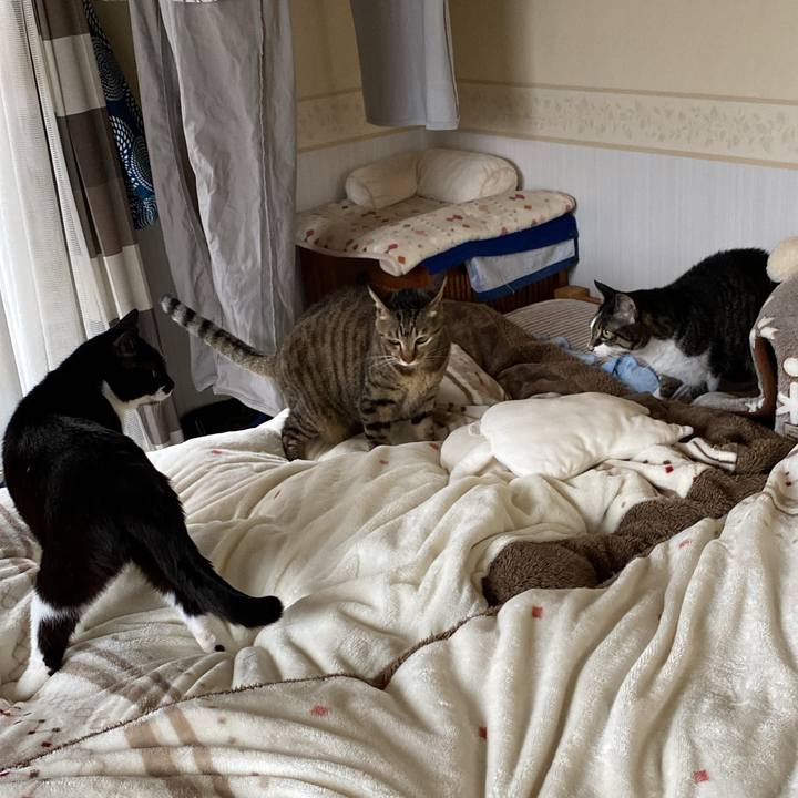 A93d6454 361f 4a54 8181 030d48595caa 1711589488495