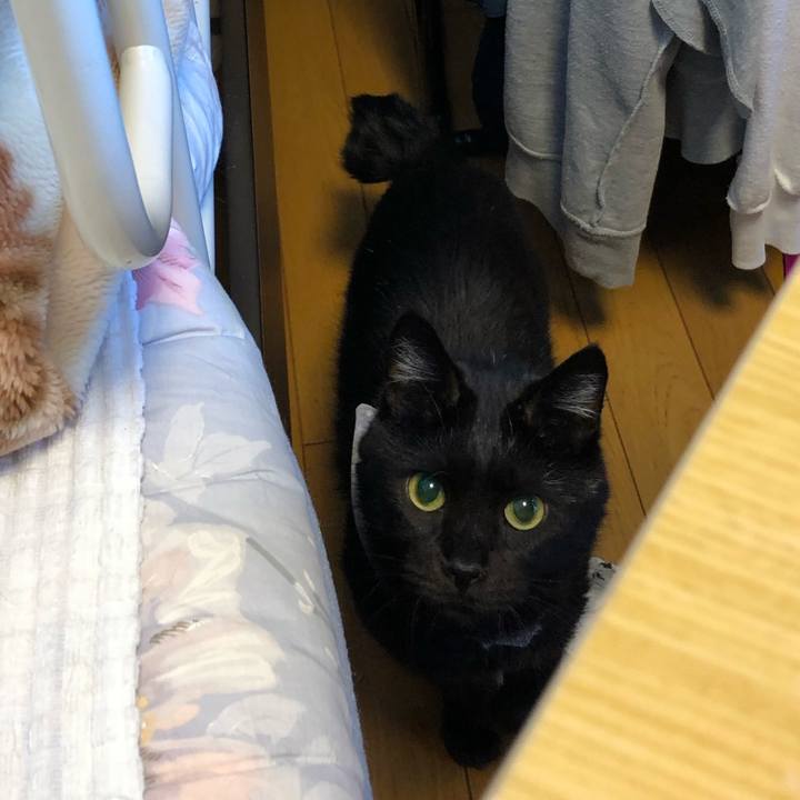 A93d7045 1f67 41f1 900b 1626e22e26c3 1573967969789