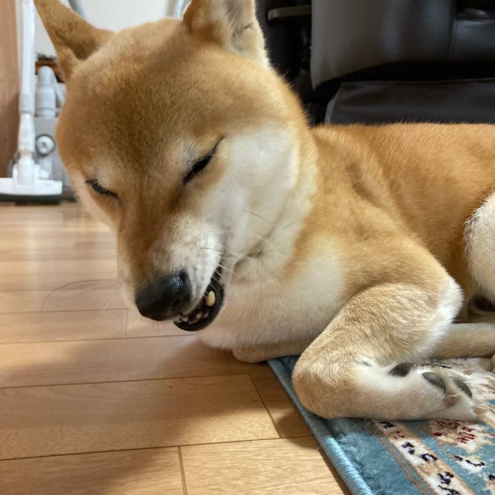 A93da25c a054 46d9 baf3 c071366d0dec 1673061605846