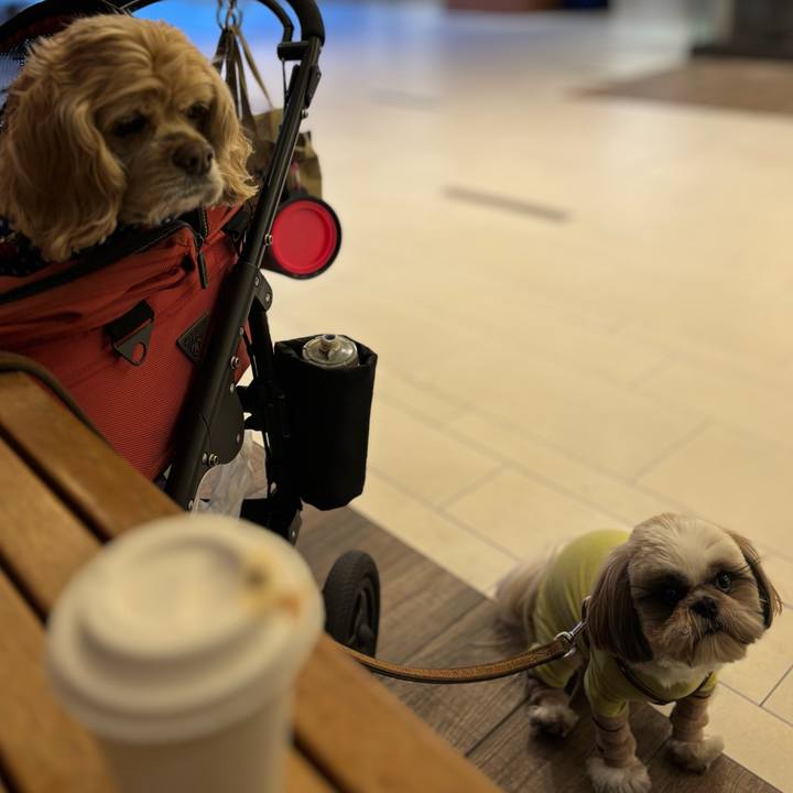 A93dd7b8 f812 4b6d 98fa 9f007b62dab9 1769347605478