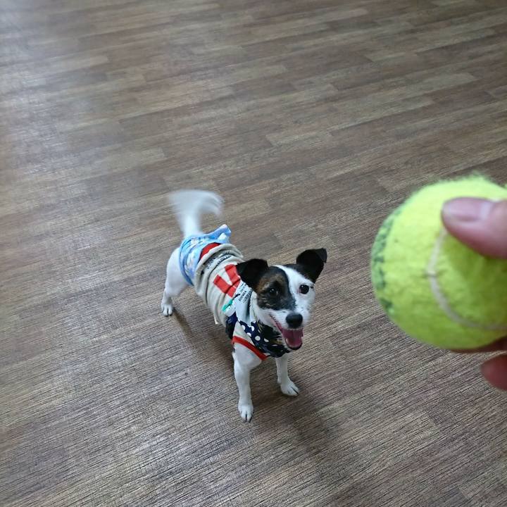 A93de1a5 a9e8 446b 9ce5 ee62fd530bd3 1532168100761