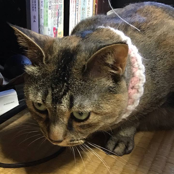 A93e0464 67d3 444e b4c0 6605ca2fce4f 1750149942994