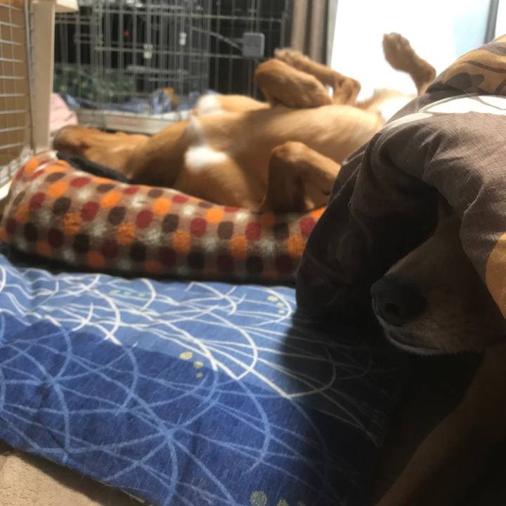 A93e2132 4be9 4df7 937d 8d5f2d19d9ec 1543135523695