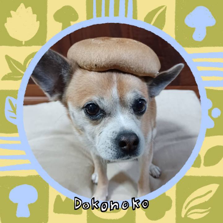 A93e5aaf ba2a 4dc6 b9e0 ac10fdd002d9 1761607224641