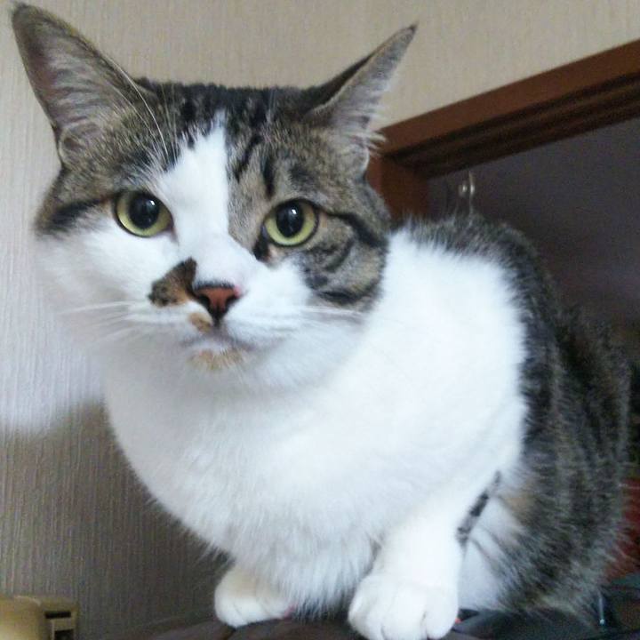 A93e5e0c 8541 4f57 a830 524b88b48c05 1655674765974