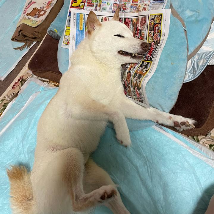 A93e8694 31a9 42d3 838e 50e0a8e6eeee 1658524352875