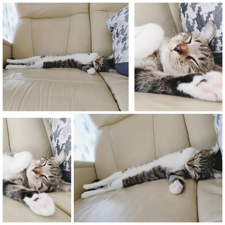 A93e8a76 fb51 47a0 aebe d35f676c0bae 1633321761552