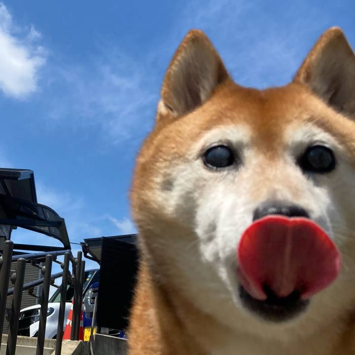 A93e8fd8 7da1 4472 a02c b277b92c0bfc 1686619166031