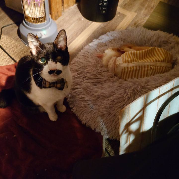 A93ea74d 0ac8 45e5 8f48 ab7a66367e8c 1768142750037