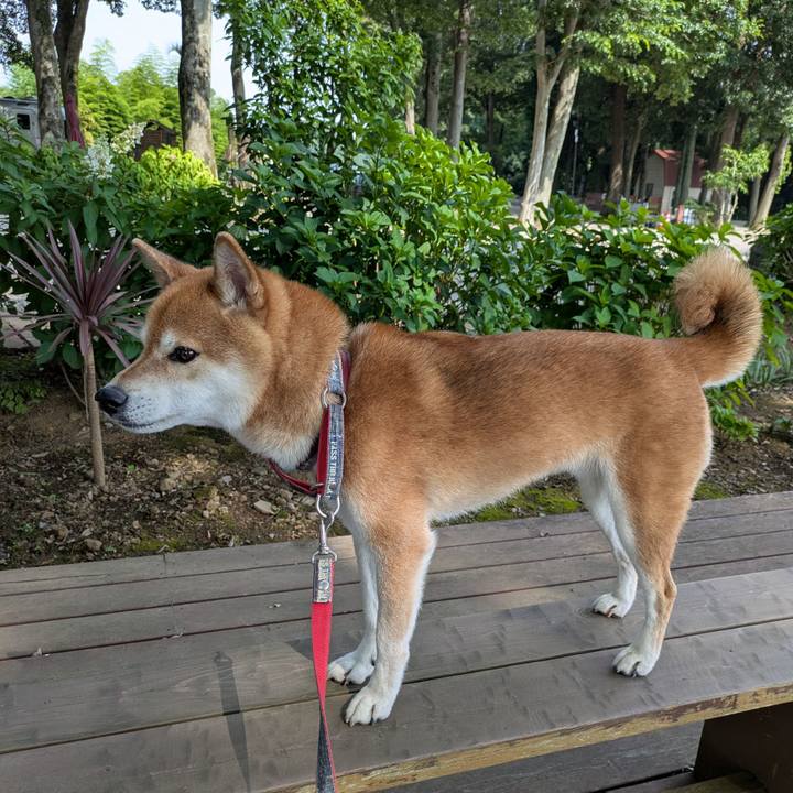 A93ecf83 6800 49c8 999d ed91c28cb437 1754472157468