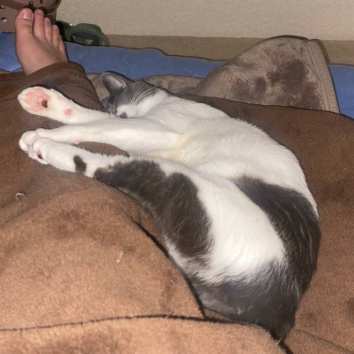 A93ed737 86c4 4bfc aa08 821d4176fa5f 1644421730857