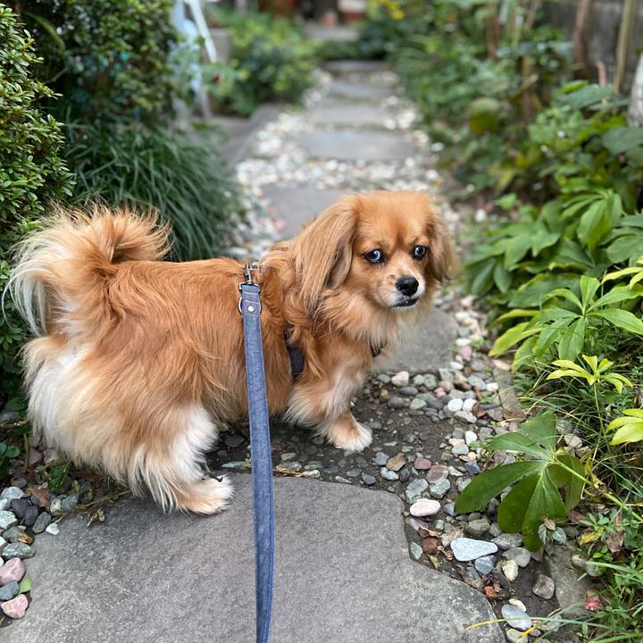 A93ee86d 0d91 42e3 b091 f37d8712e0a7 1573596134021