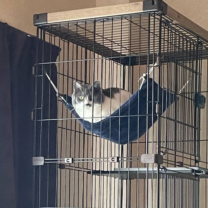 A93f1d14 4979 422e 92a3 756e7746281f 1661322714769