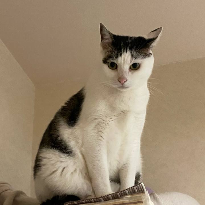 A93f4458 d5c0 45b7 95dc d023f212545b 1764041886413