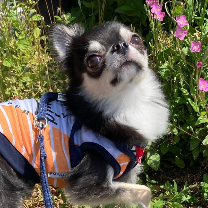 A93f5dbd bd0a 47da a50e 264d9f4ecf50 1619844205649