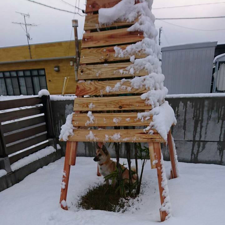 A93f61d7 c803 4aa5 9a16 3de386cbc2da 1511067400962