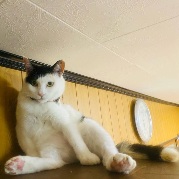 A93f7df9 8e28 4185 b4ec ecf488a217d0 1655673205684