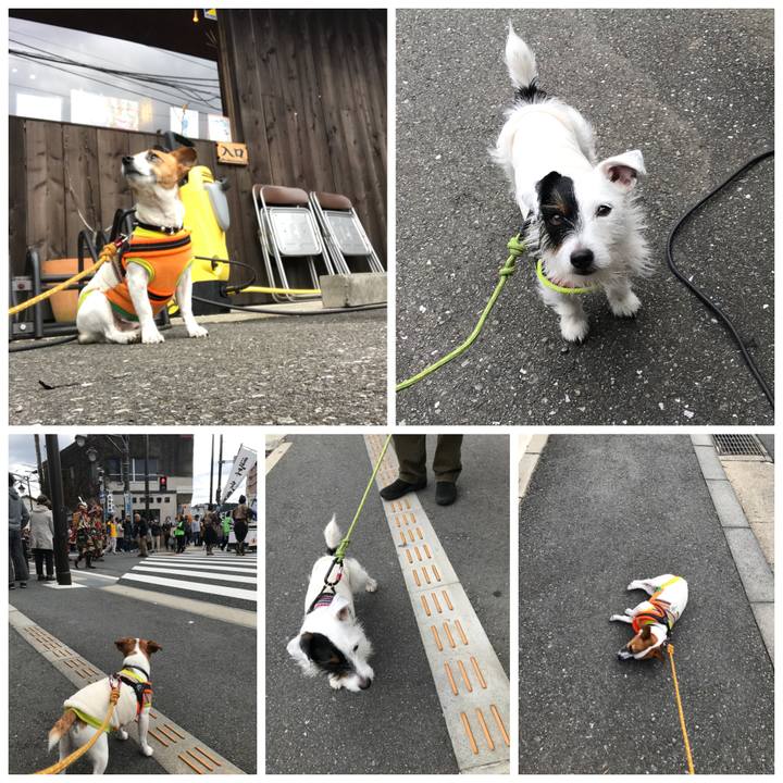 A93fc2b2 fd56 48d9 a3fd 8c4ad0f97725 1511059693970