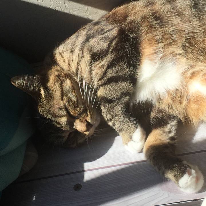 A93fc398 fef7 406d 8bbf 1459ff0dc076 1573894904066