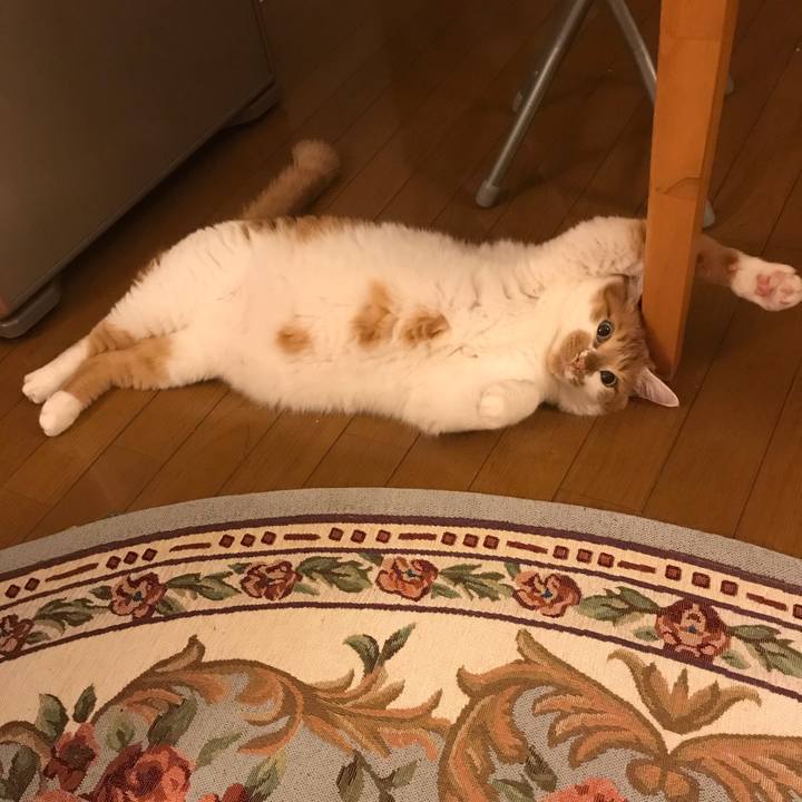 A93ff3ce 83dd 4eb4 8051 a0d878557ef1 1565350844729