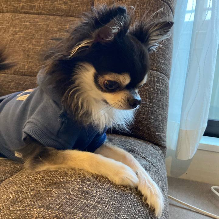 A93fff1a de49 4fcc 8820 e26e870e2618 1708693697845