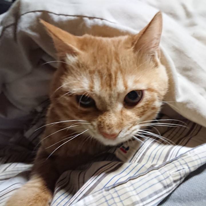 A9402b39 373a 4ed4 8590 caffa489163a 1638218720331