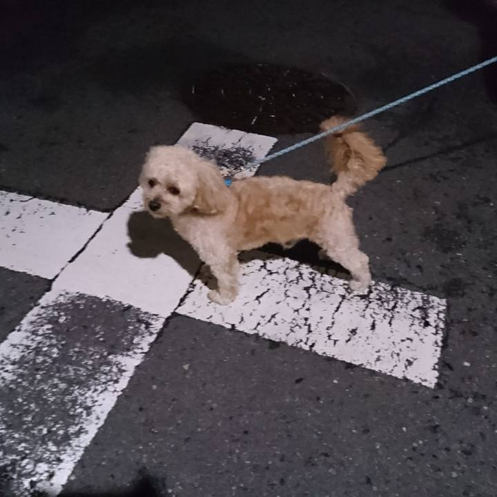 A940861f 7479 4dd2 a96a ce96cfb60a88 1536063071488