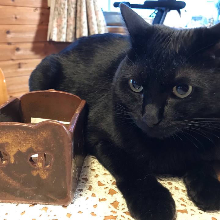 A9409e06 0dc9 4a54 9d11 27091095b7ed 1645737700967