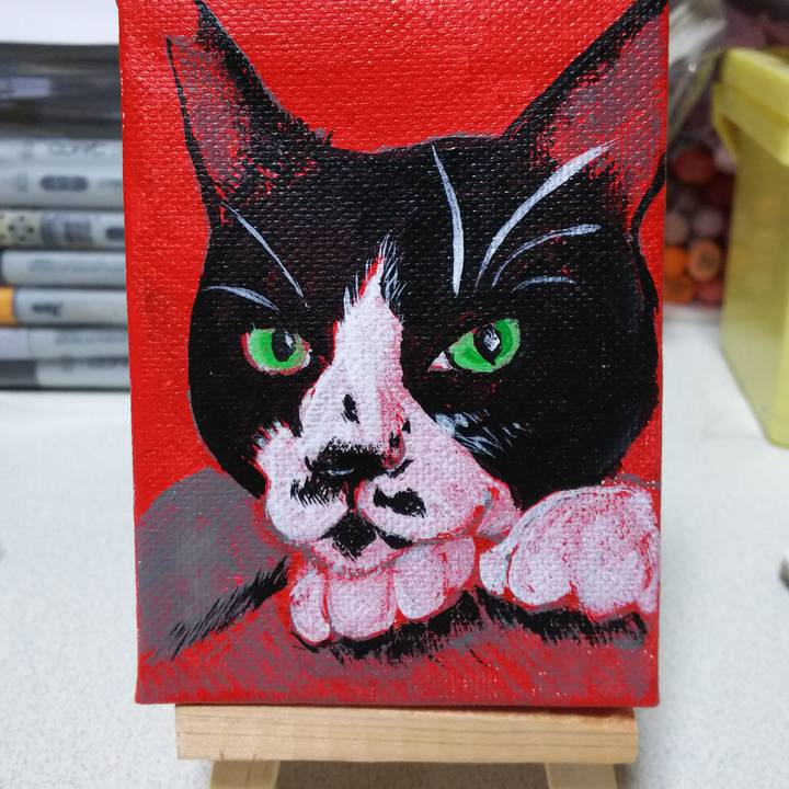 A940ac0d 5ddf 41db a078 13ca0dfe52ab 1549802267670