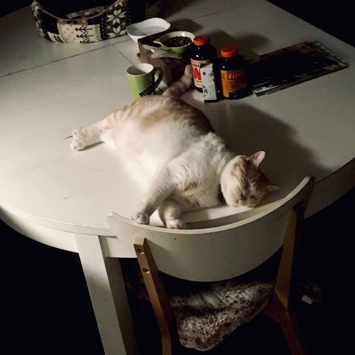 A940ac23 512d 496f b134 102d8805ee54 1561050983105