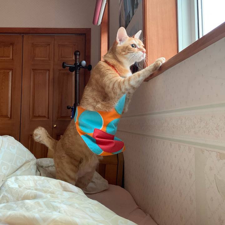 A940ac7b 657b 45ce 8ba7 a12ed62c0075 1561323317555