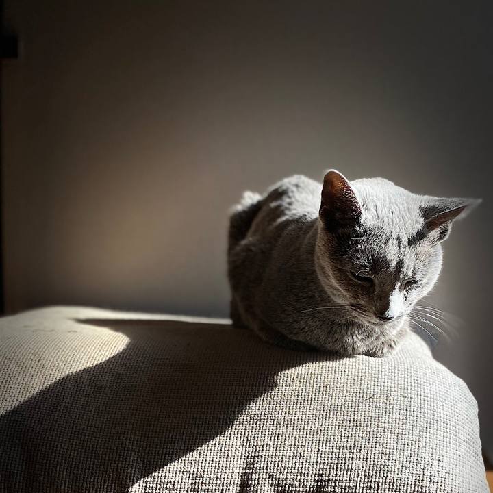 A940b025 0d93 442b b625 9ae04d9ecebe 1581463768449