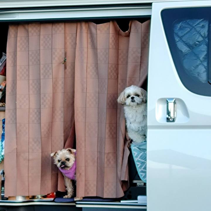 A940b334 1670 4c76 8ec5 f6c98ecf3b4f 1739581986234