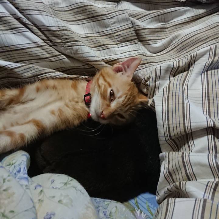 A940b5c5 f85f 4075 984f 04bb24bfdbe4 1631414889195