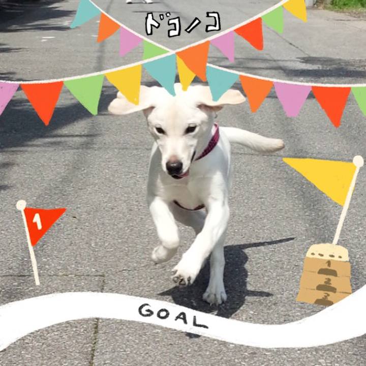 A940bf3a af4e 43e9 98f4 fdc017ad1b3e 1729486448165