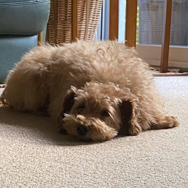 A940cd56 6105 4aa5 a07e 270c35936e76 1655497059567