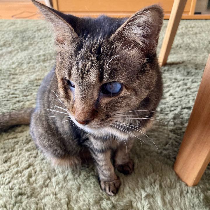 A940edd4 ec14 4c02 863e b7cd7b8f74d0 1670118375901