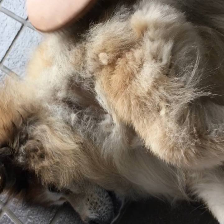 A9410b77 7662 45bb 9fc5 4db31aeec410 1553988030638