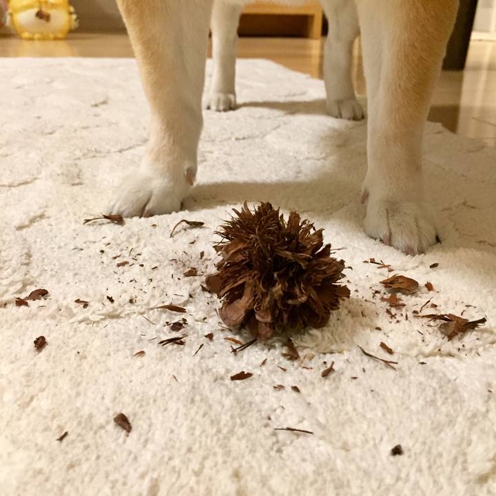 A941167c c286 427a bd32 11a9124eba36 1573383958337