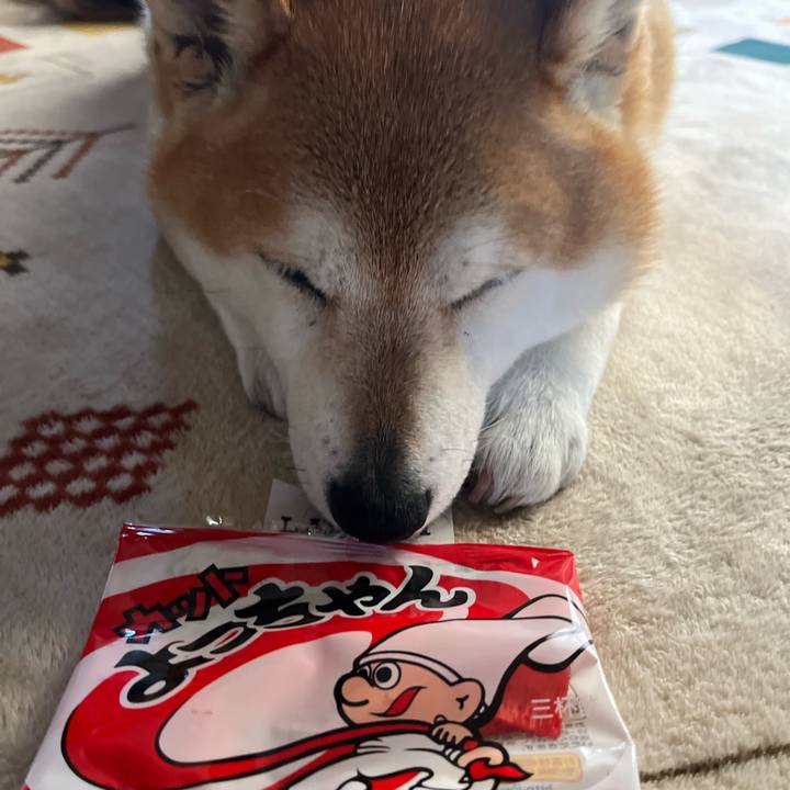 A9414884 065e 48ec 9e32 ae21aa805ed1 1711524698526