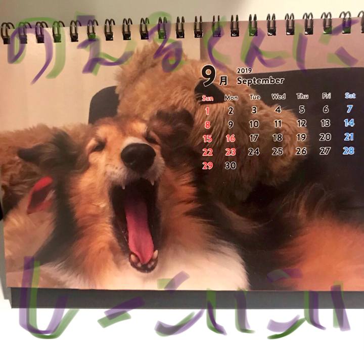 A9414cff ee1c 4fc9 b845 83eeb7c79e6a 1568384067483