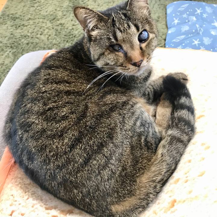 A9414ddb 4796 4324 97b6 2ebfe5b6ea3d 1586145546455