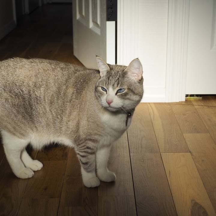 A94180d3 2120 45f5 9705 24ffbed4b7f8 1619303728859