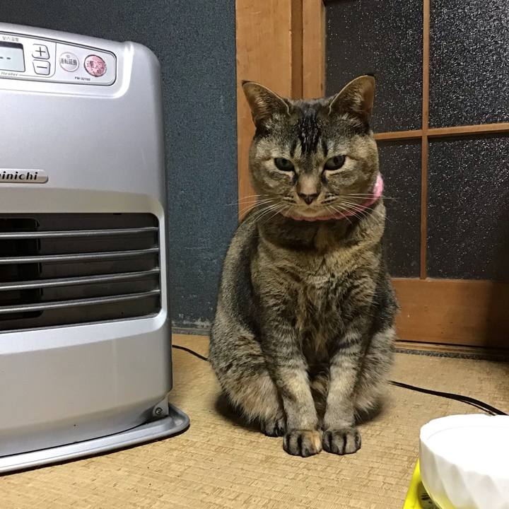 A94188cc 8f90 486c acaf acaa518ec459 1744120011482