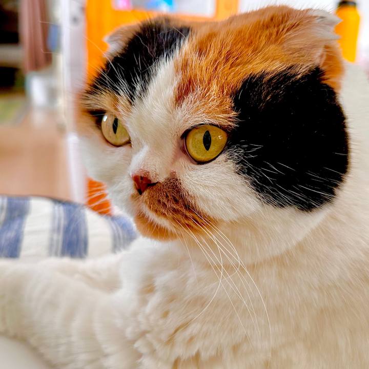 A941bb91 3fdc 4276 b8e4 444f689cf355 1694608939759